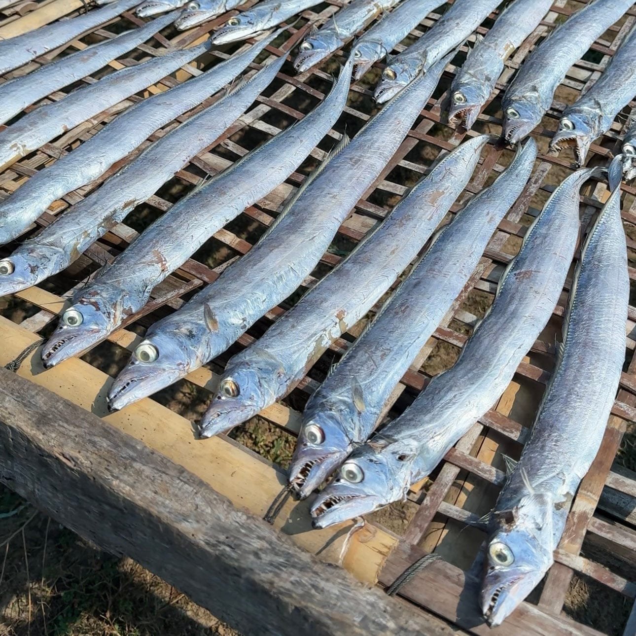 3caf77f1-d25e-48bb-9fa3-4d92b1640fdf